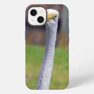 Bird with Long Neck