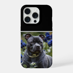 "Blue Brindle Beauty: Una Staffy con Rosas Azules