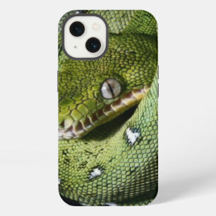 Boa esmeralda de la serpiente verde del árbol en