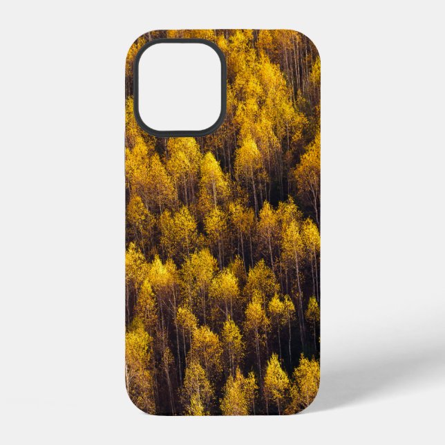 FUNDA PARA iPhone BONITO BOSQUE DE PINOS (Reverso )