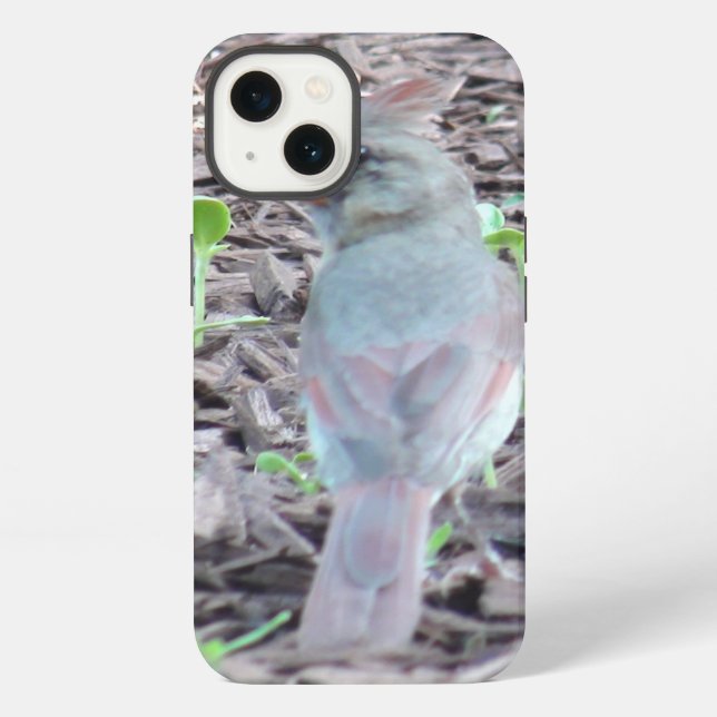 Funda Para iPhone Bonito Cardinal de estuche de teléfono celular (Reverso )