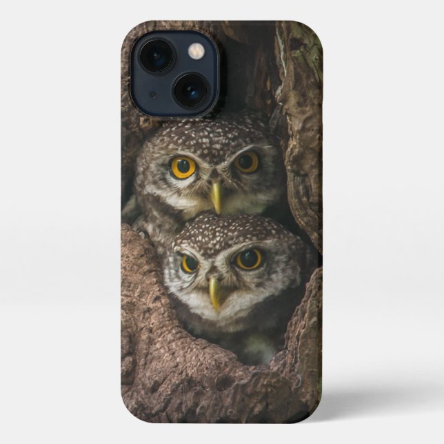 Funda Para iPhone Bosques | Dos lechuzas mirando (Reverso )