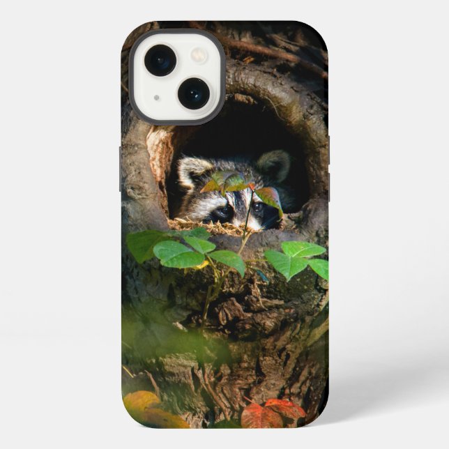 Funda Para iPhone Bosques | Mapache asomándose (Reverso )