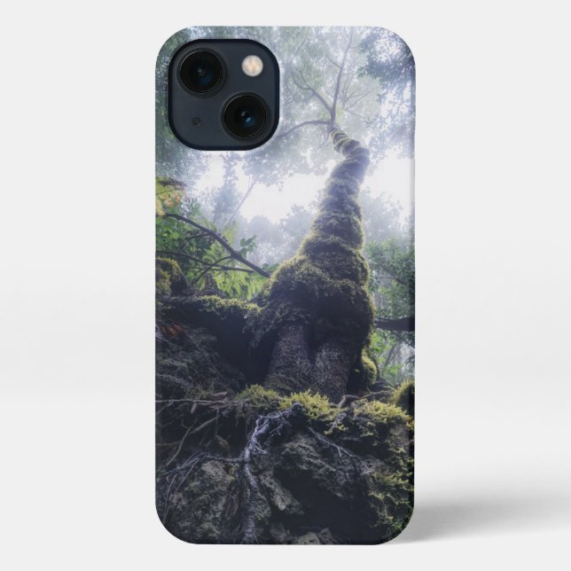 Funda Para iPhone Bosques | Parque rural de Anaga Islas Canarias (Reverso )