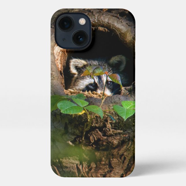 Funda Para iPhone Bosques | Raccoon Peeking (Reverso )