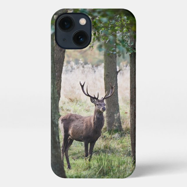 Funda Para iPhone Bosques | Woodlands & Red Deer (Reverso )