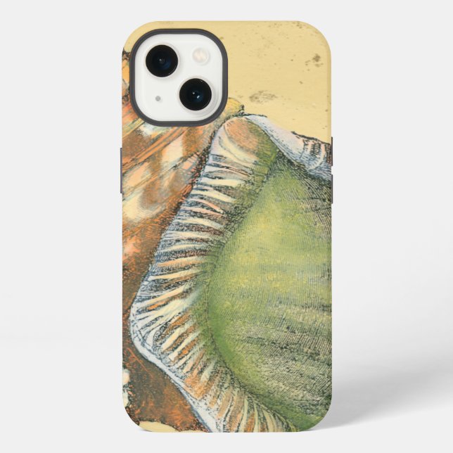 Funda Para iPhone Brown and Green Seashell (Reverso )