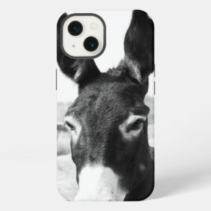 Burro