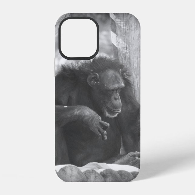 Funda Para iPhone BW Chimp (Reverso )