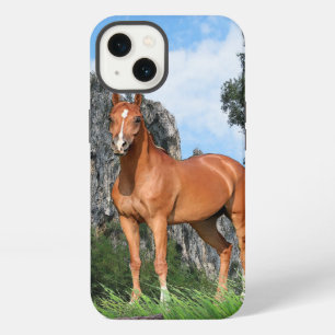 Caballo