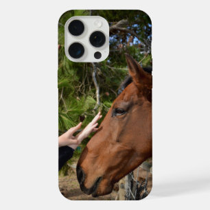 Caballo Marrón Llamó A Bennie Amando Una Patata,