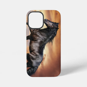 Funda Para iPhone 12 Mini Caballo Negro Hermoso
