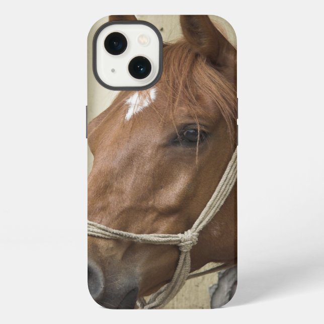 Funda Para iPhone Caballos árabes (Reverso )