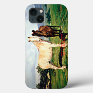 Caballos/Cabalos/Horses