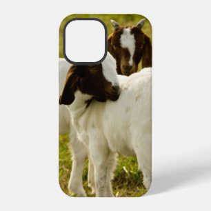 Funda Para iPhone 12 Pro Cabras Boer curiosas en granja soleada Naturaleza
