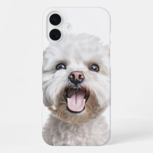 FUNDA PARA iPhone 16 PLUS CACHORRO DE PERRO BICHON FRISÉ BLANCO CON CARA FEL