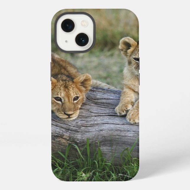 Funda Para iPhone Cachorros de León en Tronco (Reverso )