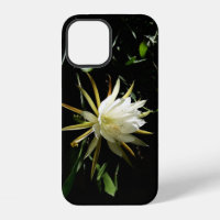 Cactus Bloom