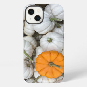 Calabazas fantasma con un naranja furtivo uno