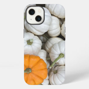 Calabazas fantasma con un naranja furtivo uno