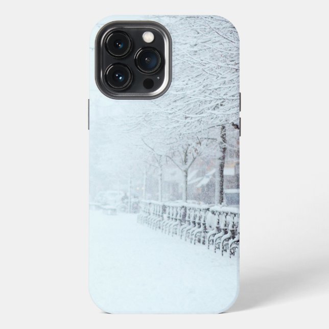Funda Para iPhone Camino Invernal Nevado  (Reverso )