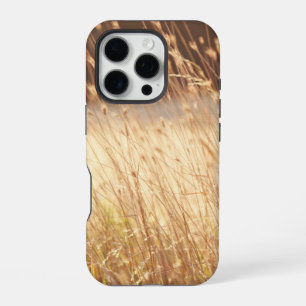 Funda Para iPhone 16 Pro Campo de hierba al atardecer de verano