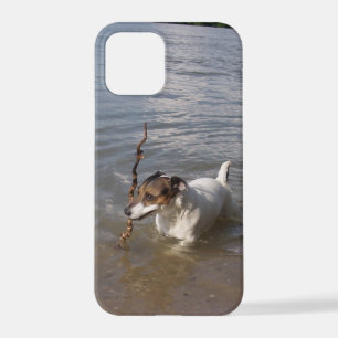 Funda Para iPhone 12 Pro Capo von Oppenheim, Jack Russell Terrier Dog