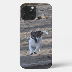 Funda Para iPhone 13 Pro Max Capo von Oppenheim, Jack Russell Terrier Dog