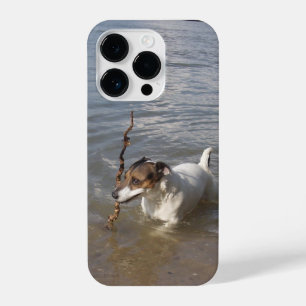 Funda Para iPhone 14 Pro Capo von Oppenheim, Jack Russell Terrier Dog