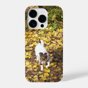Funda Para iPhone 14 Pro Capo von Oppenheim, Jack Russell Terrier Dog