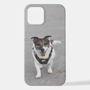 Funda Para iPhone 12 Capo von Oppenheim, Jack Russell Terrier Dog