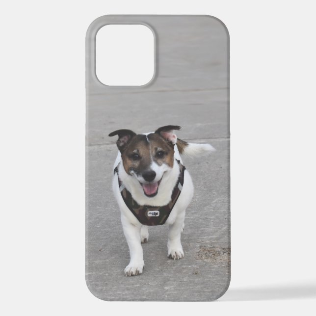 Funda Para iPhone Capo von Oppenheim, Jack Russell Terrier Dog (Reverso )