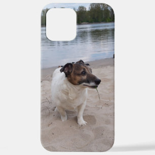 Funda Para iPhone 12 Pro Max Capo von Oppenheim, Jack Russell Terrier Dog