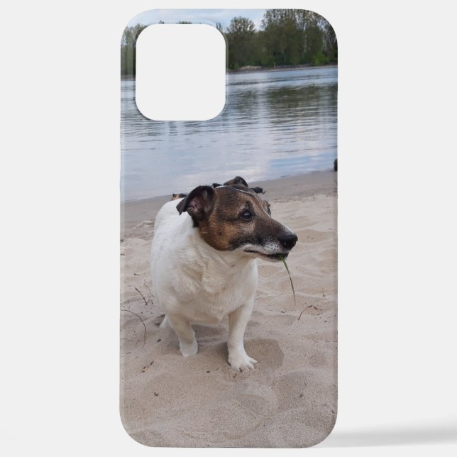 Funda Para iPhone Capo von Oppenheim, Jack Russell Terrier Dog (Reverso )