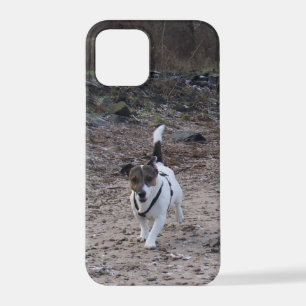 Funda Para iPhone 12 Pro Capo von Oppenheim, Jack Russell Terrier Dog