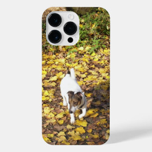 Funda Para iPhone 14 Pro Max Capo von Oppenheim, Jack Russell Terrier Dog