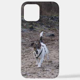 Funda Para iPhone 12 Pro Max Capo von Oppenheim, Jack Russell Terrier Dog