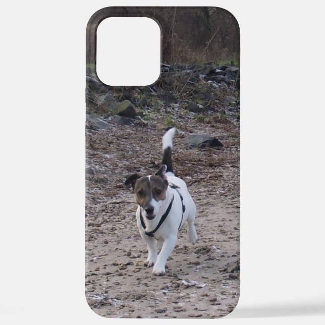Funda Para iPhone Capo von Oppenheim, Jack Russell Terrier Dog (Reverso )