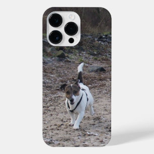 Funda Para iPhone 14 Pro Max Capo von Oppenheim, Jack Russell Terrier Dog