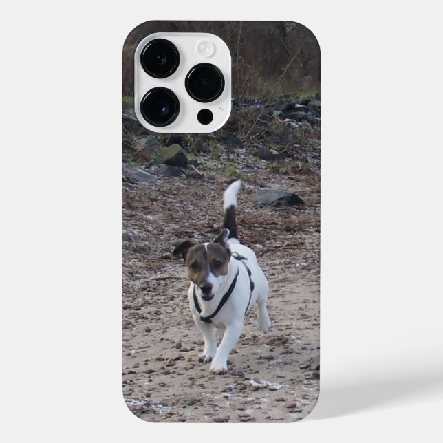 Funda Para iPhone Capo von Oppenheim, Jack Russell Terrier Dog (Reverso)