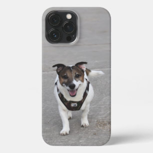 Funda Para iPhone 13 Pro Max Capo von Oppenheim, Jack Russell Terrier Dog