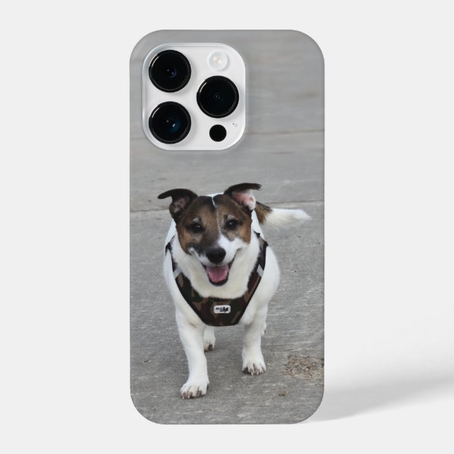 Funda Para iPhone Capo von Oppenheim, Jack Russell Terrier Dog (Reverso )