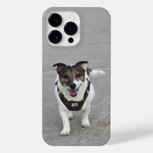 Funda Para iPhone 14 Pro Max Capo von Oppenheim, Jack Russell Terrier Dog