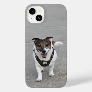Funda Para iPhone 14 Plus Capo von Oppenheim, Jack Russell Terrier Dog