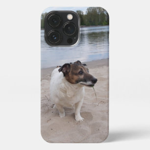 Funda Para iPhone 13 Pro Capo von Oppenheim, Jack Russell Terrier Dog
