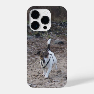 Funda Para iPhone 14 Pro Capo von Oppenheim, Jack Russell Terrier Dog