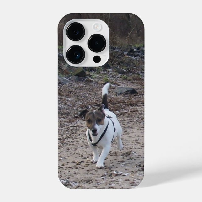 Funda Para iPhone Capo von Oppenheim, Jack Russell Terrier Dog (Reverso )