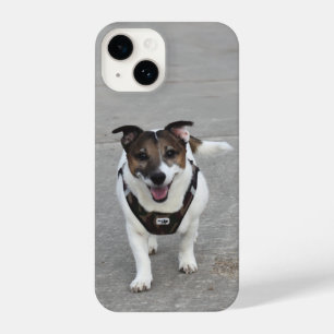Funda Para iPhone 14 Capo von Oppenheim, Jack Russell Terrier Dog