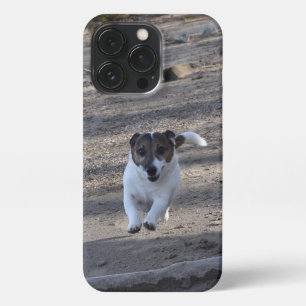 Funda Para iPhone 13 Pro Capo von Oppenheim, Jack Russell Terrier Dog