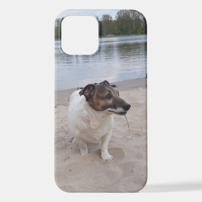 Funda Para iPhone Capo von Oppenheim, Jack Russell Terrier Dog (Reverso )